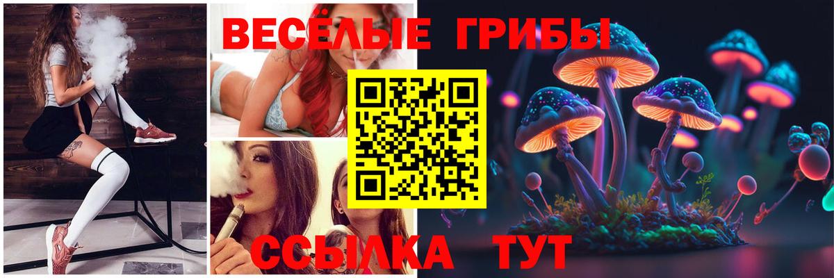 Галлюциногенные грибы Psilocybe  как найти наркотики  Ртищево  Вход с VPN 