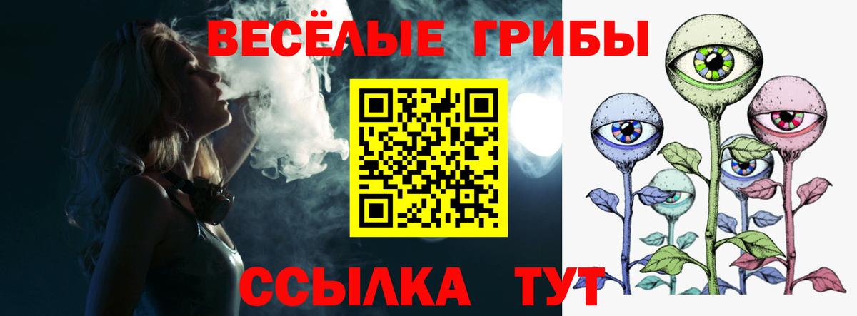 Псилоцибиновые грибы MAGIC MUSHROOMS Ртищево